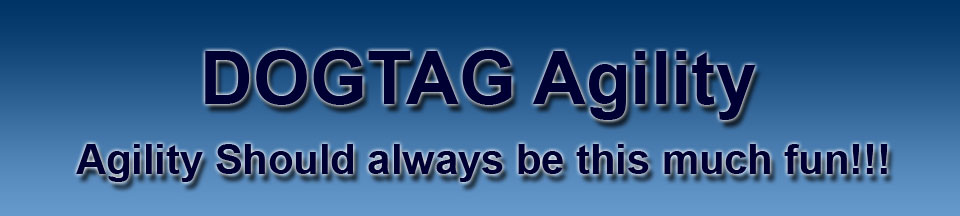 Dogs Of Greater Tulsa Agility Group